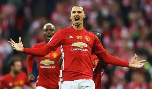 他们将目光 他们将目光